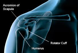 Cracking your shoulder blades can help relieve pressure and alleviate pain caused by physical activity, poor posture, or a naturally stiff spine. What S Wrong With My Shoulder