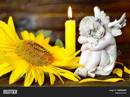Image result for condolences angel