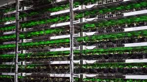 Cryptocurrency mining software is the method used to create new cryptocurrency and add components to an existing blockchain. Cryptocurrency Mining Equipment On Large Farm Asic Miners On Stand Racks Mine Bitcoin In Server Room Blockchain Techology Application Specific Integrated Circuit Tripod Panorama Video By C Artiemedvedev Stock Footage 380661922
