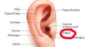 Pin On Ear Itches