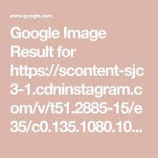 Google Image Result For Https Scontent Sjc3 1 Cdninstagram Com V T51 2885 15 E35 C0 135 1080 1080a S320x320 87325522 20215940 Image Google Images Cute Stitch