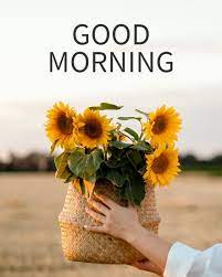 🌼🌻🌹🌷🌺 #GoodMorning... - Good Morning Images | Facebook