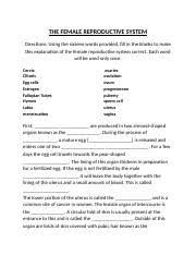 Colour and label the structures of the diagram. Fahim Rahman Female Reproductive System Worksheet The Female Reproductive System Directions Using The Sixteen Words Provided Fill In The Blanks To Course Hero