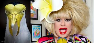 New Music Release: Buried Alive by May May Graves featuring Angelspit