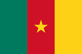 Resultado de imagem para nigeria camarões