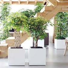 Maybe you would like to learn more about one of these? Photos At Floristeria Clio Talavera De La Reina Castilla La Mancha