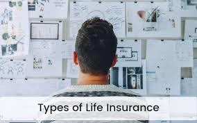 9 Different Types Of Life Insurance Explained