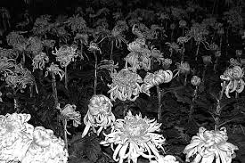 ▷ Tao Mao | Buy Original Art Online | Artsper