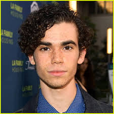 Jo Ann Boyce, Cameron Boyce's Grandma, Speaks Out After His Death