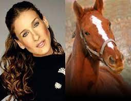 We did not find results for: Sarah Jessica Parker Looks Like A Horse Know Your Meme