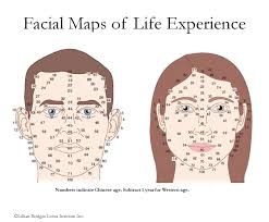 the facial map akupunkturakademin