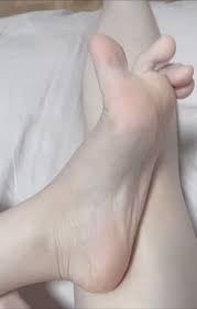 紫竹铃