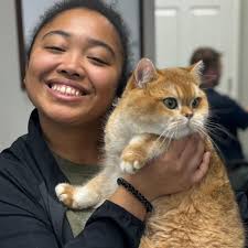 TOP 10 BEST Pet Sitting near Owens Cross Roads, AL