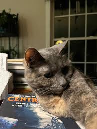 The Clinton Corners News