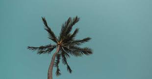 Cette dysfonction devient problématique si elle affecte négativement la relation amoureuse. Comment Entretenir Sa Libido Conseils Pour Retrouver Du Desir Sexuel