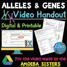 Learn everything an expat should know about managing finances in germany, including bank accounts, paying taxes, getting insurance and investing. Alleles And Genes Video Handout For Video Made By The Amoeba Sisters