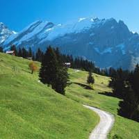 Oneri di urbanizzazione: dal 2018 dovranno puntare al risanamento ...