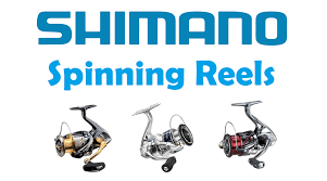 Best Shimano Spinning Reels Dec 2019 Buyers Guide