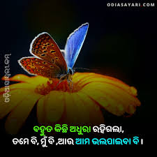We did not find results for: Top 10 Photo Shayari Odia Best Odia Love Shayari Photo September 2021 Odia Shayari