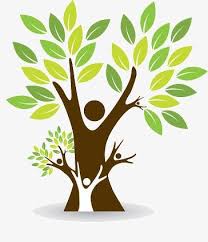 شجرة العائلة مفهوم بيئي كبر فرعpng صورة Logos De Arvores Desenho De Arvore Genealogica Imagens De Arvores