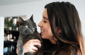 Kitty with pica finds his home