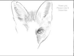 How to draw a realistic fox: How To Draw A Fox Face Yzarts Yzarts Youtube