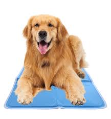 Place on the floor, bed, crate. Chillz Cooling Pad For Dogs Xl Dog Cooling Mat 37 X 31 5 Ebay