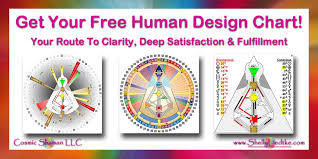 42 Logical Human Design Life Chart