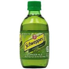 Bissell 3 In 1 Lightweight Corded Stick Vacuum 2030j Filter Ginger Ale Glass Bottle Small Www Inbrook Com X Ginger Ale Ale Mustard Bottle