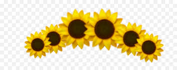 If you are looking to give a sweet surprise, on a short notice, and send flowers such as roses, sunflowers, hydrangea, baby's breath or our fun bouquets, we got you covered with our beautiful blooms and expert florist. Emoji Sunflower Crown Sticker Aesthetic Sunflower Crown Png Sunflower Emoji Transparent Free Transparent Png Images Pngaaa Com