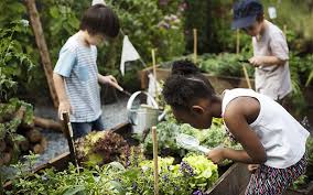 When you're planting a new garden, there are seemingly endless directions you can go in. 10 Great Ideas To Get Kids Entertained In The Garden David Domoney