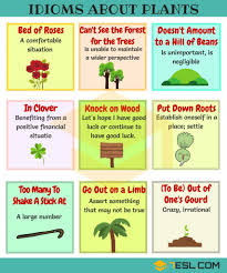 Common Nature Idioms In English With Meaning And Examples 7 E S L Idioms And Phrases English Phrases English Words