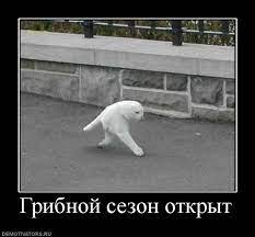Демотиваторы » uCrazy.ru - Источник Хорошего Настроения