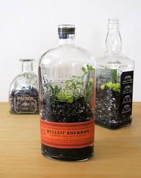 Diy Bottle Terrarium Recyclart Bottle Terrarium Terrarium Plants Plants In Bottles