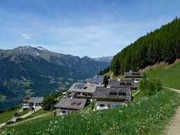Myeni by tackling him and using a taser before the officer who had been attacked shot mr. Familienwanderung Am Taser Hohenweg Meran Und Umgebung