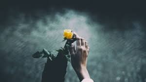 To all of those reading this page, we are sincerely sorry for your losses and hope you will visit this site again to find comfort in your grief. The Flower Of Hope Alexandra Vasiliu Bestselling Author Of Healing Words