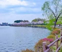 Banyak hal yang bisa dilakukan di sini, seperti jogging, hunting foto, duduk di. 10 Taman Di Korea Yang Wajib Dikunjungi Untuk Liburan