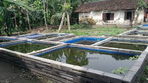 Membuat Kolam Terpal Kotak Prassterpal Com