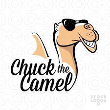 Yes theres one way to get rid of camel toe.dont let her pull her pants up to high cuz when she does she squeezes the lips and it makes a inprint on the 'camel toe' is a sexual reference, it is when a women's trousers, underwear, etc. Pin On Funny Things