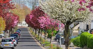 Maybe you would like to learn more about one of these? 5 Fascinating Facts About Spring In Luton 1st Airport Taxis