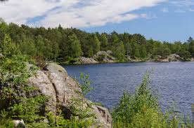 Baneheia is an area in kristiansand in norway, mostly known at the national level from the baneheia case, as the scene of a notorious murder of two girls aged 8 and 10 that took place in 2000. Baneheia Kristiansand Album Mkj S Musings