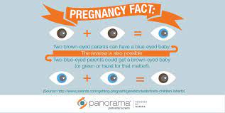 What Will My Baby Look Like Baby Eye Color Hair Color And More Baby Eyes Blue Eyed Baby Baby Colors