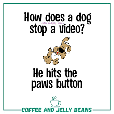 Pin Auf Cute Funny Corny Jokes