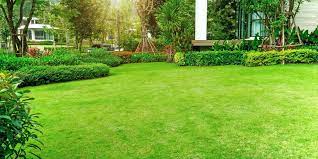 Services include lawn fertilization, weed control, lawn treatments, tree and shrub maintenance, and perimeter pest control. Sunday Lawn Care Review 2021 This Old House