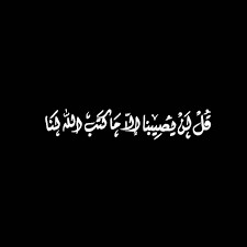 النباتات لا تملك العقل ولو غطيتها بصندوق فيه ثقب لخرجت من هذا الثقب متتبعه للضوء فما بال بعضنا لا يتبع النور و love quotes photos wonder quotes words quotes