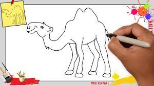 Aus wikipedia, der freien enzyklopädie. Kamel Zeichnen Schritt Fur Schritt Fur Anfanger Kinder Zeichnen Lernen 3 Youtube