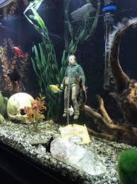 Pin By Strange Eden On Jason Voorhees Friday The 13th Fresh Water Fish Tank Fish Tank Decorations Betta Fish Tank