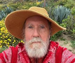 Is distilled water okay for ph meter storage?