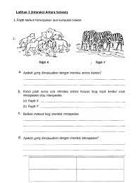 Latihan Interaksi Antara Haiwan Pdf