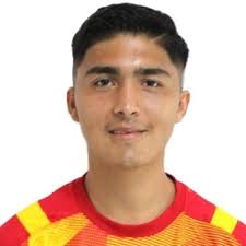 Estadísticas Andrés Becerra, Tigres de Álica